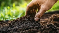 Adobe Stock 987012365