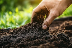 Adobe Stock 987012365