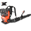 Echo Usa Dpb 5900 T Main Image