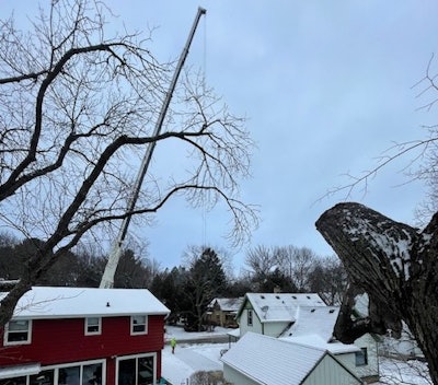 Due to space constraints, the company had to park a 165-ton crane that featured 200 feet of reach in the street to take down the tree.
