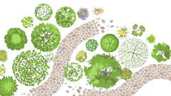 Adobe Stock 361497225