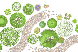 Adobe Stock 361497225