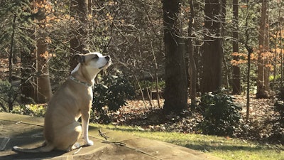 Smelling Fresh Air Is Good For You Img 8488