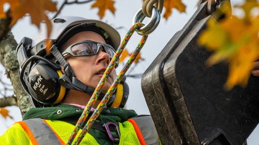 Tree Care Education 5