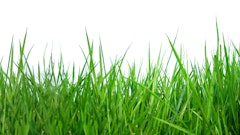 Adobe Stock 105406257