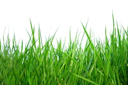 Adobe Stock 105406257