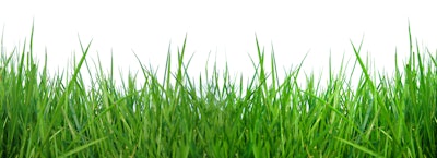 Adobe Stock 105406257