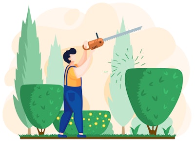 Adobe Stock 440955507