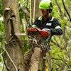 The CS-2511P Chainsaw is ideal for arborists, farmers/ranchers, hunters, carvers, and homeowners.