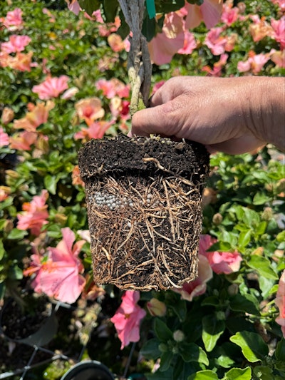 63 F88 C3 B 2 D0 E 4733 9 A26 7548 B9662269