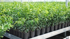 While one of the main reasons to consider CRFs is to grow better plants, growers also need to consider how they’re going to grow better margins.