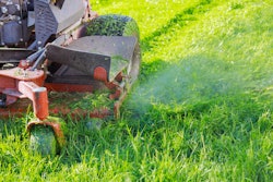 Adobe Stock 348697036