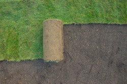 Adobe Stock 397744565