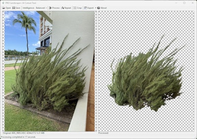Cutout Sample 2