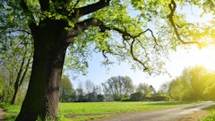 Adobe Stock 110968300