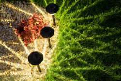 Adobe Stock 519436300