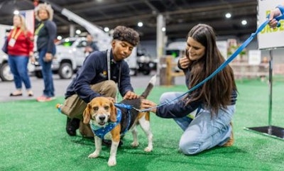 Adopted Dog Sonny At Mutt Madness 2024
