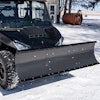 25 02 21 Piab Action (1 Of 28)