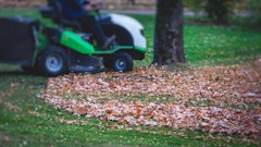 Depositphotos 542827276 Xl