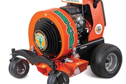 Z3002 Beauty Left (1)