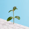 Adobe Stock 479209062