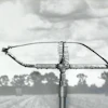 Original Sprinkler (1)