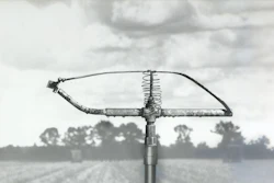 Original Sprinkler (1)