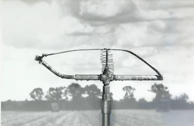 Original Sprinkler (1)