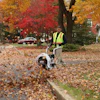 Worker in safety vest operating a leaf blower on autumn street lined with colorful fall foliage
