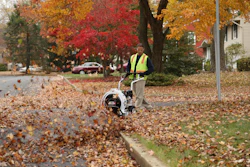 Worker in safety vest operating a leaf blower on autumn street lined with colorful fall foliage