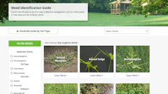 Syngenta Weed Id Guide
