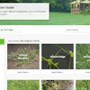 Syngenta Weed Id Guide