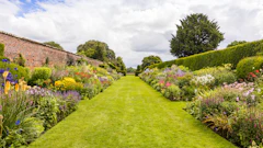 Adobe Stock 164173236