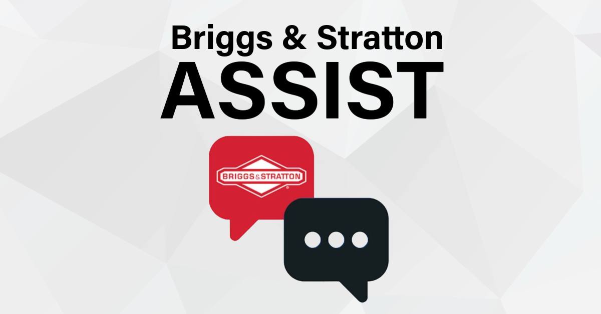 Briggs Stratton Assist[1]