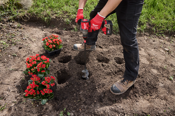 Gardener in red gloves digging holes to plant red flowers in garden soil