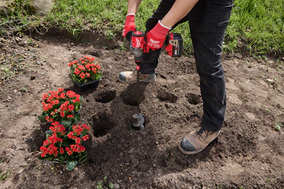 Gardener in red gloves digging holes to plant red flowers in garden soil