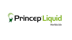 Princep Liquid Cmyk
