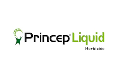 Princep Liquid Cmyk