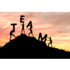 Silhouettes of people forming the word TEAM on a hillside at sunset