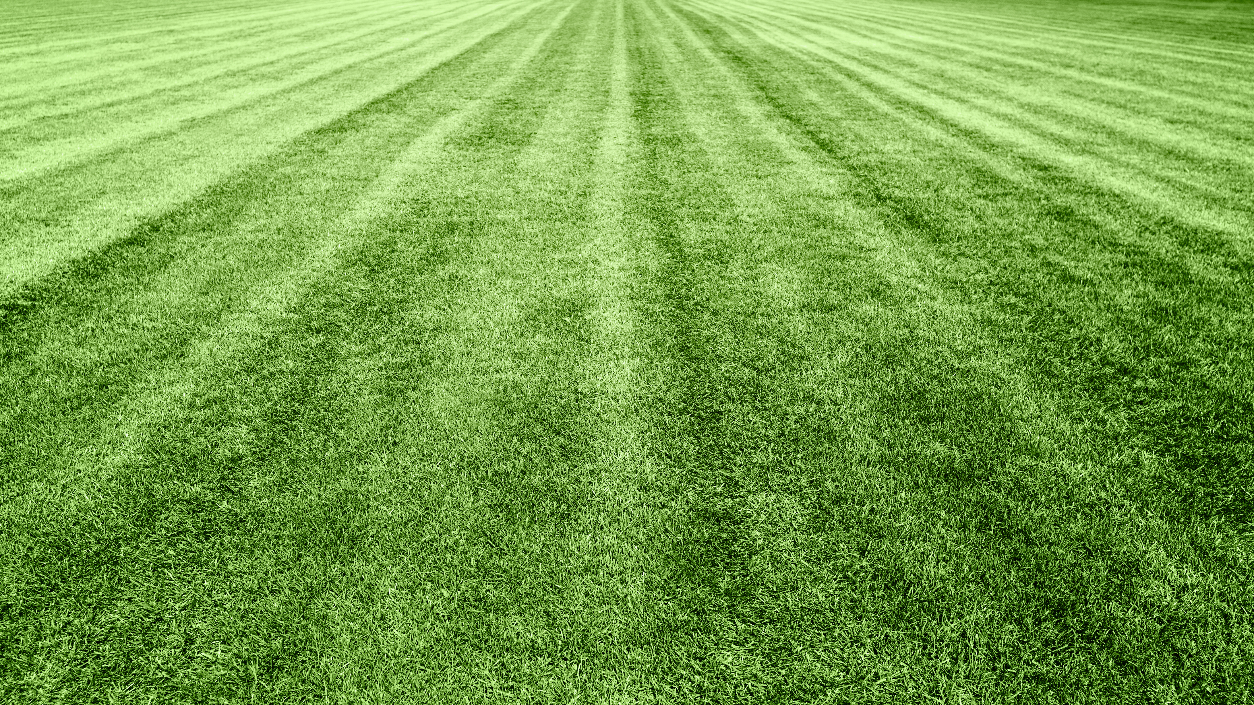 Aerial view of a green agricultural field with parallel plowed rows extending to the horizon
