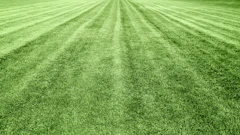 Aerial view of a green agricultural field with parallel plowed rows extending to the horizon