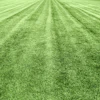 Aerial view of a green agricultural field with parallel plowed rows extending to the horizon
