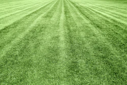 Aerial view of a green agricultural field with parallel plowed rows extending to the horizon