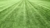 Aerial view of a green agricultural field with parallel plowed rows extending to the horizon