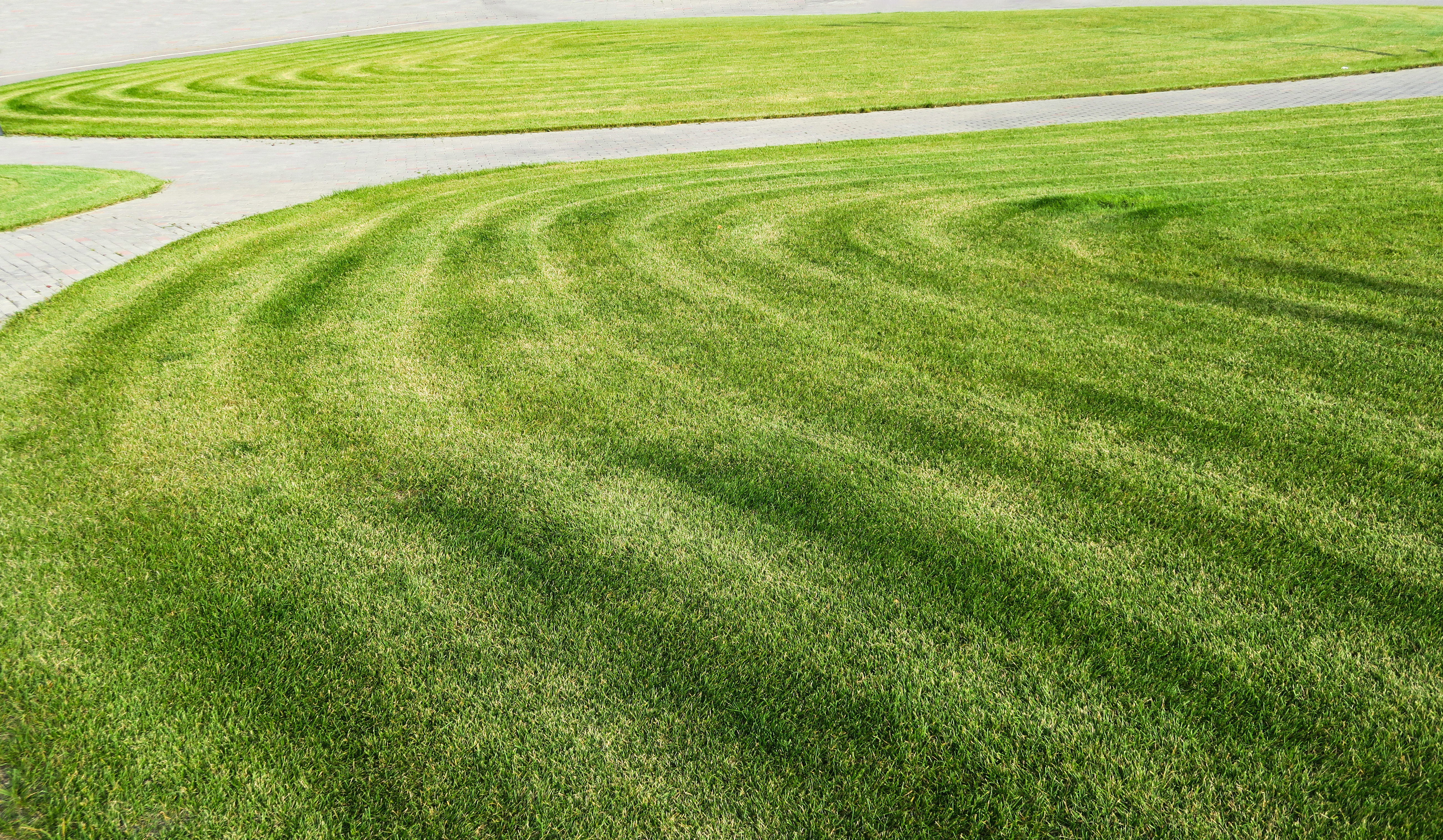 Manicured lawn with curved mowing patterns and white stone pathway