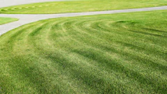 Manicured lawn with curved mowing patterns and white stone pathway