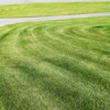 Manicured lawn with curved mowing patterns and white stone pathway