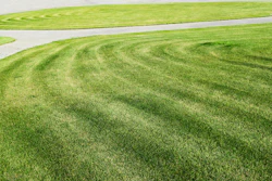 Manicured lawn with curved mowing patterns and white stone pathway