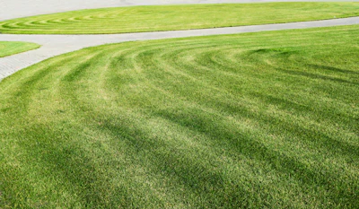 Manicured lawn with curved mowing patterns and white stone pathway