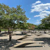 Invisible Structures Permeable Paving System Option 1